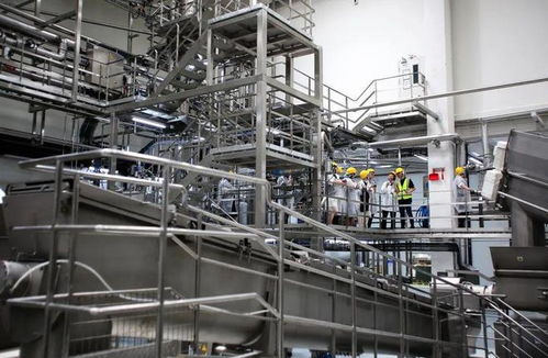 宠物市场“内卷”加剧，这家天津软件企业亮相亚宠展的破局之道