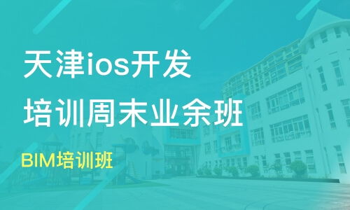 天津汉沽区软件开发培训班哪家好 软件开发培训班哪家好 软件开发培训课程排名 淘学培训